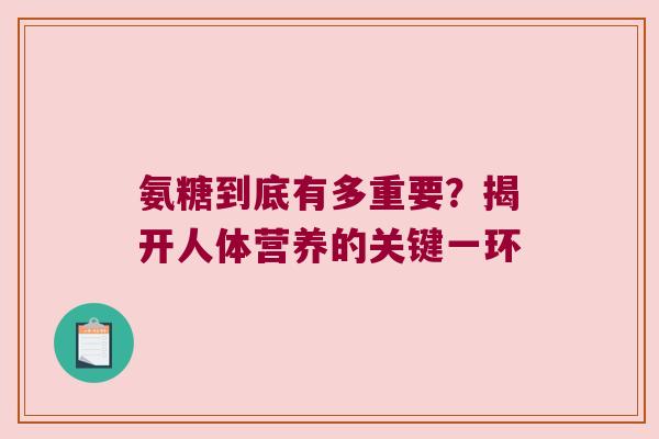 氨糖到底有多重要？揭开人体营养的关键一环
