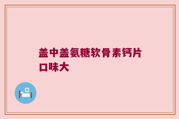 盖中盖氨糖软骨素钙片口味大 盖中盖氨糖软骨素钙片口味大