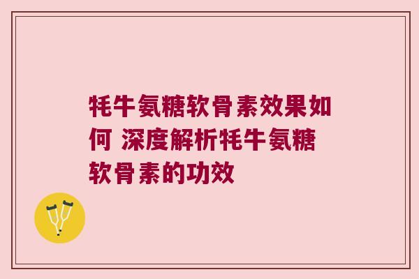 牦牛氨糖软骨素效果如何 深度解析牦牛氨糖软骨素的功效