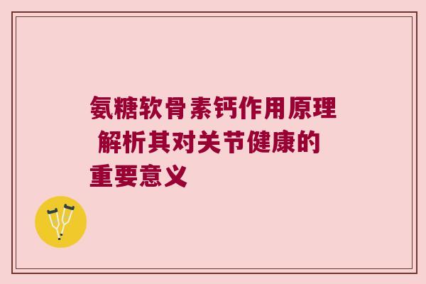 氨糖软骨素钙作用原理 解析其对关节健康的重要意义