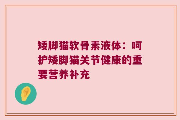 矮脚猫软骨素液体:呵护矮脚猫关节健康的重要营养补充 矮脚猫软骨素液体:呵护矮脚猫关节健康的重要营养补充