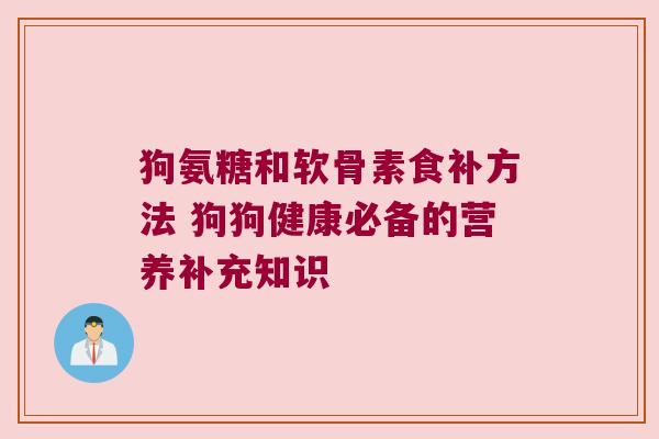 狗氨糖和软骨素食补方法 狗狗健康必备的营养补充知识 狗氨糖和软骨素食补方法 狗狗健康必备的营养补充知识