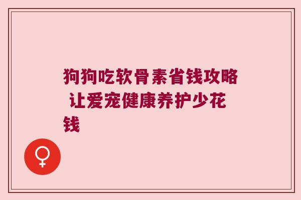 狗狗吃软骨素省钱攻略 让爱宠健康养护少花钱