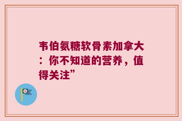 韦伯氨糖软骨素加拿大：你不知道的营养，值得关注”