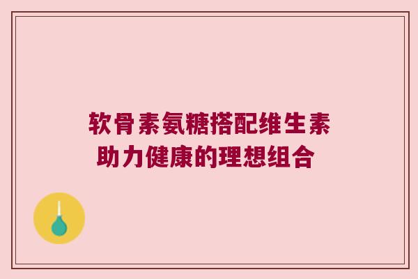 软骨素氨糖搭配维生素 助力健康的理想组合 软骨素氨糖搭配维生素 助力健康的理想组合